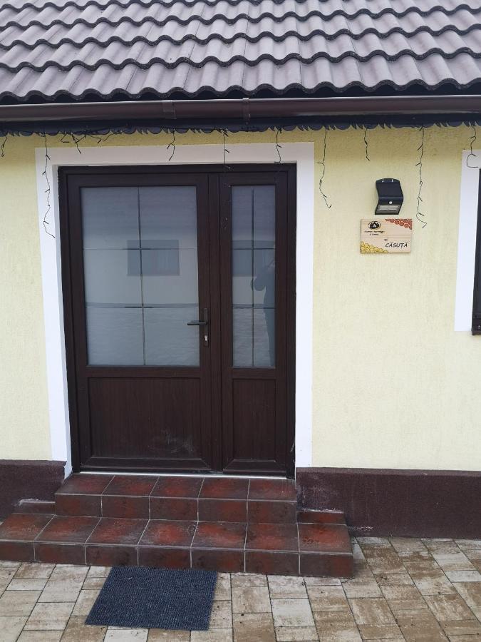 Aterman Apartment'S Sinca Veche Luaran gambar