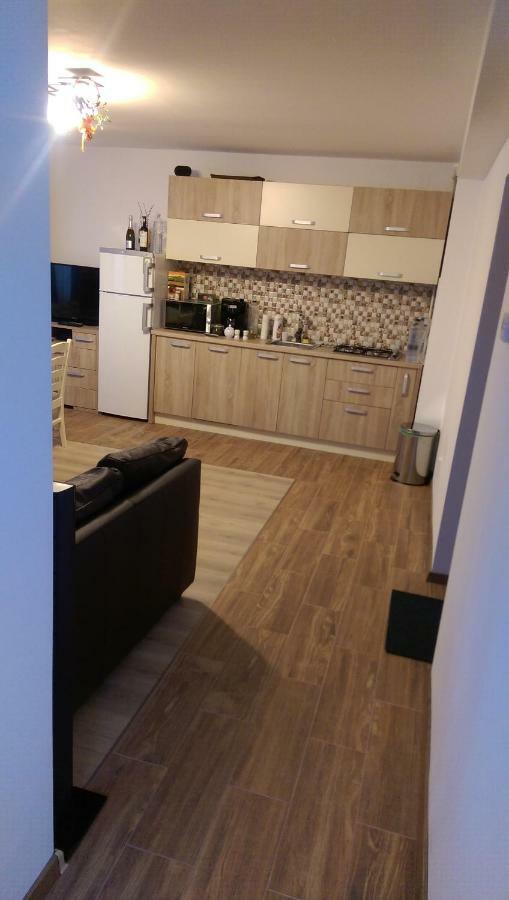 Aterman Apartment'S Sinca Veche Luaran gambar